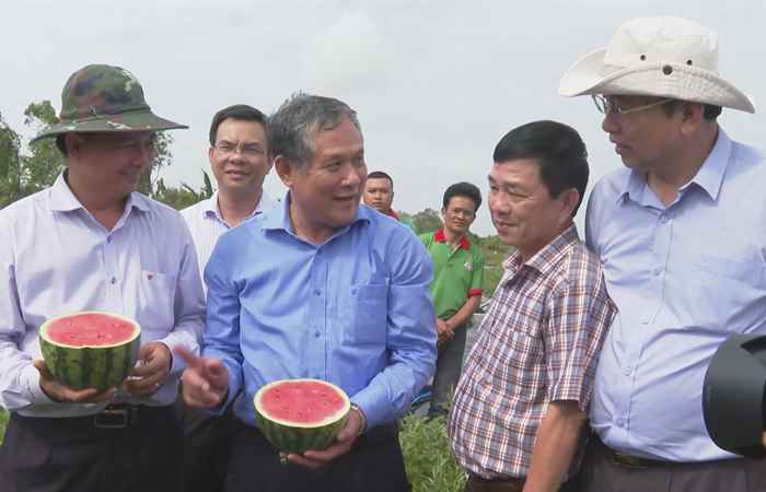 Đẩy mạnh phong trào thi đua thực hiện cơ cấu lại ngành nông nghiệp tỉnh Sóc Trăng, giai đoạn 2021 - 2025 (19-09-2024)